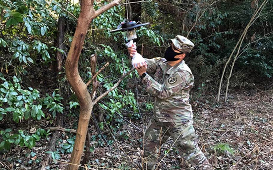 Army Staff Sgt. Matthew Pascual, noncommissioned officer in charge of entomology for Public Health Command-Pacific in Japan, collects mosquito specimens from a surveillance light trap to test for vector-borne pathogens of human concern on Camp Zama, Japan, Feb. 25, 2021 (Photo by: Public Health Command - Pacific).