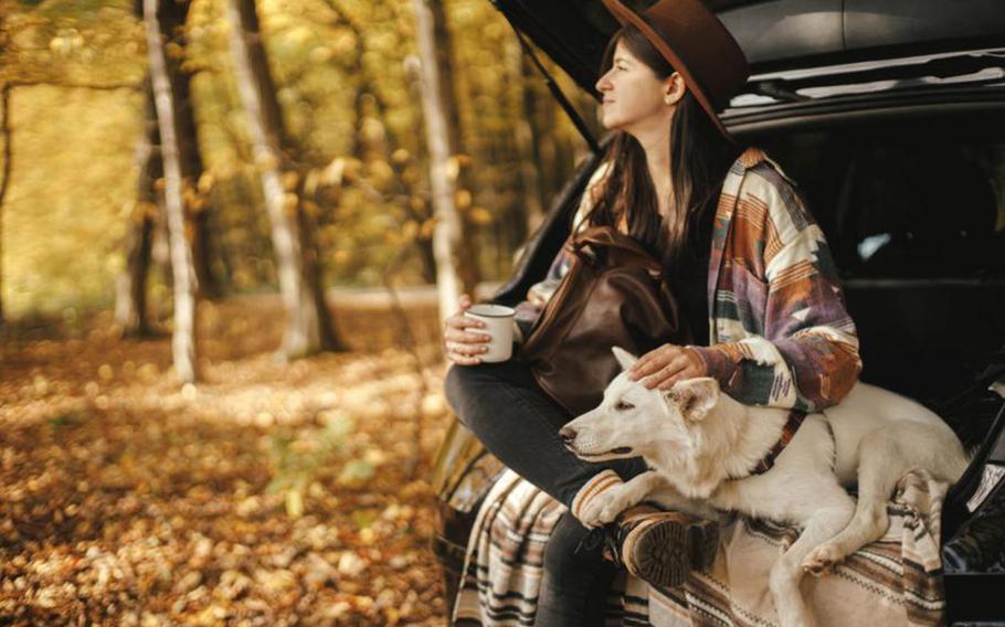 Woman and dog sitting in back of car