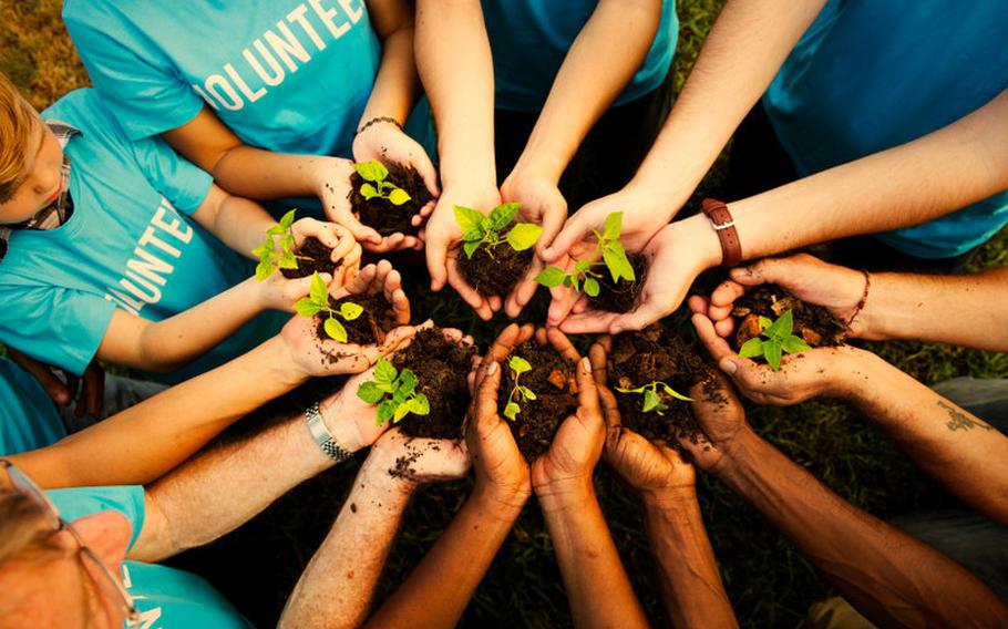 group of volunteers holding tree plants in hands