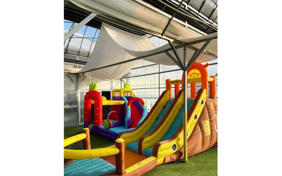 playground inside the greenhouse.