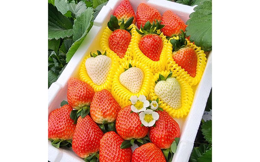 strawberries in a foaming polystyrol box.