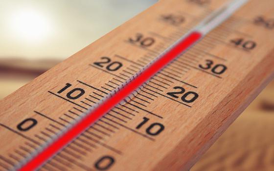 A full close-up photo of a thermometer.