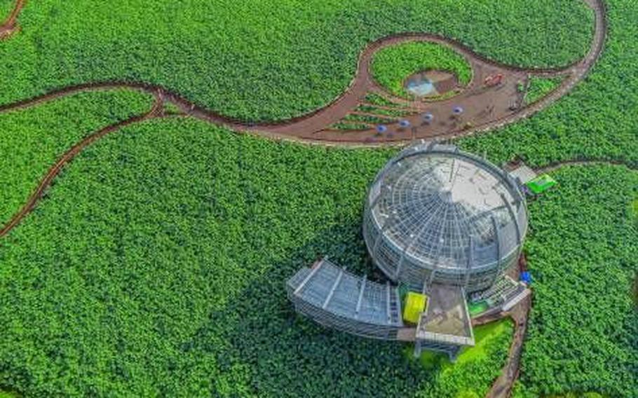Birds-eye view of the lotus-shaped building.