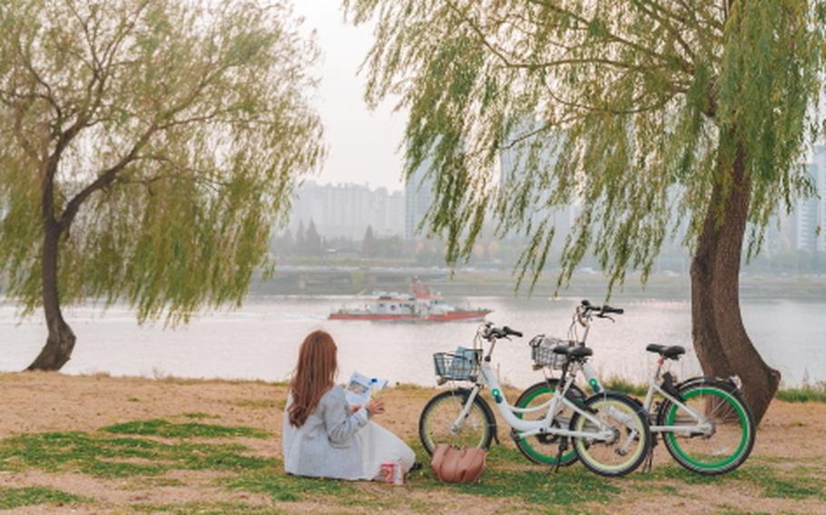a woman having a seat close to two bikes.