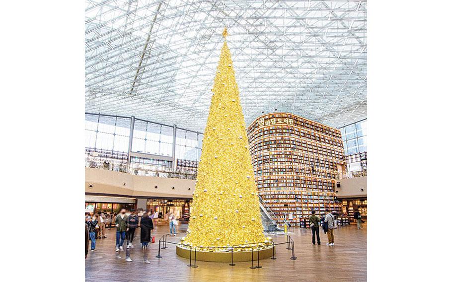 illuminated tree inside the mall.