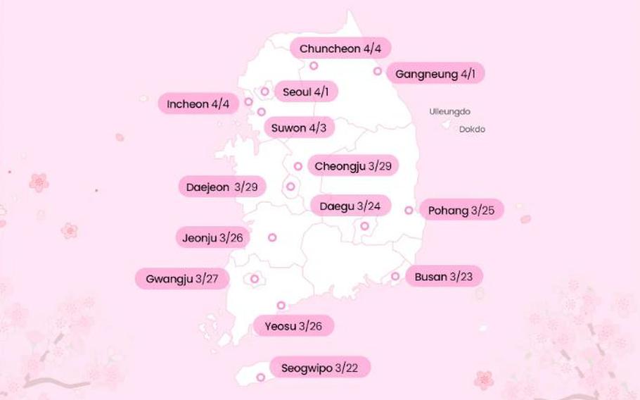 2025 Cherry Blossom Forecast in South Korea.