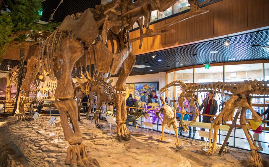 Anmyeondo Jurassic Museum