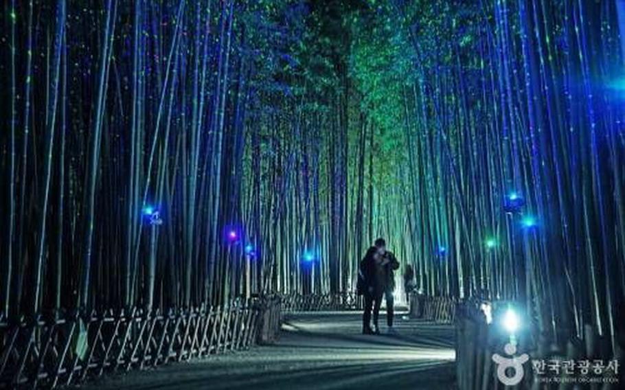 The path is lined with bamboo thickets.