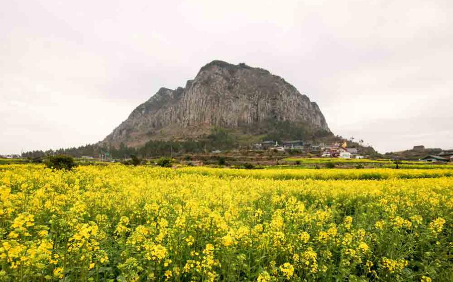 Jeju