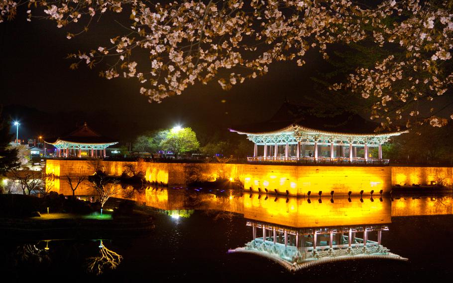 illuminated palace and the pond.