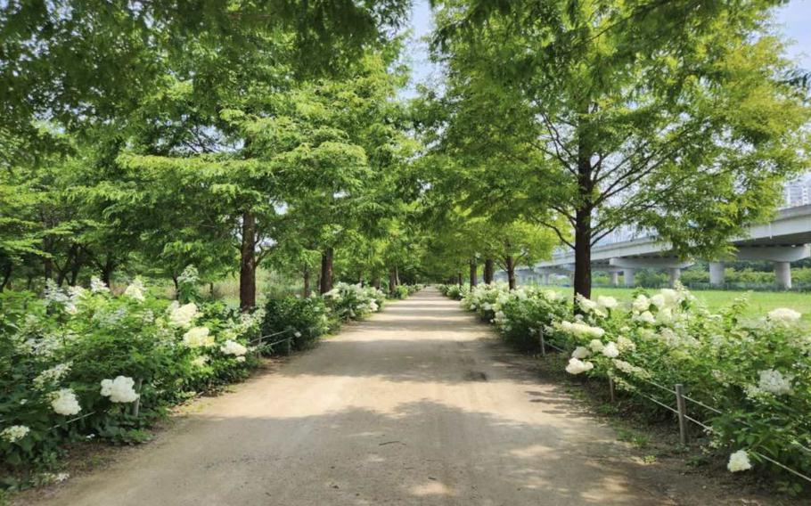 Hwamyeong Ecological Park