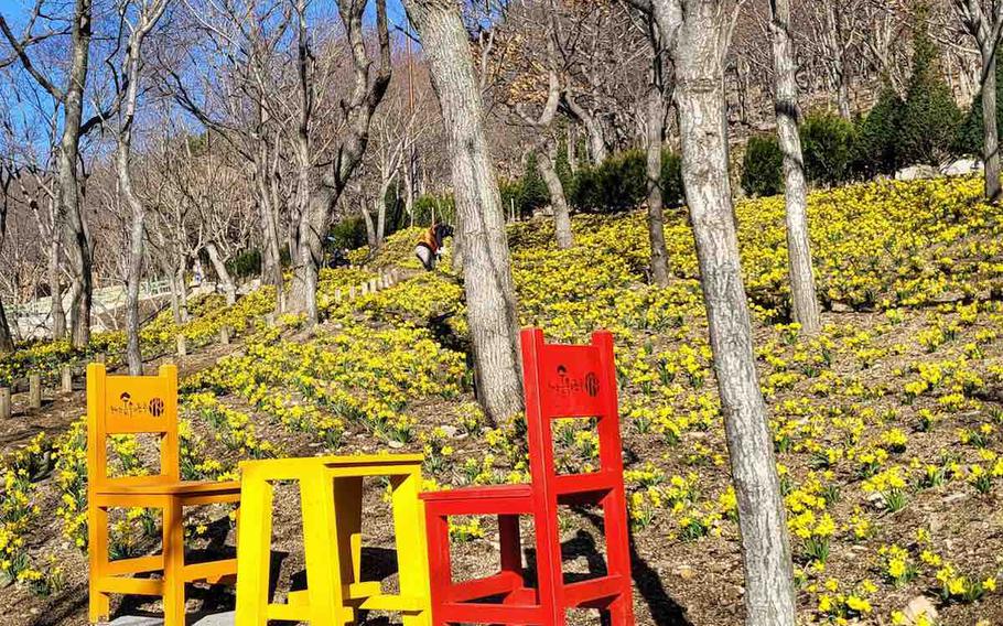 a small desk and two chairs in the forest.