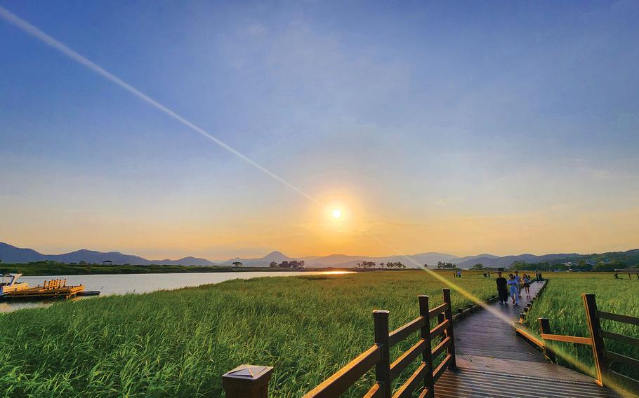 people walking on the trail surrounded by a wetland.