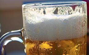A full close-up photo of a glass of beer.