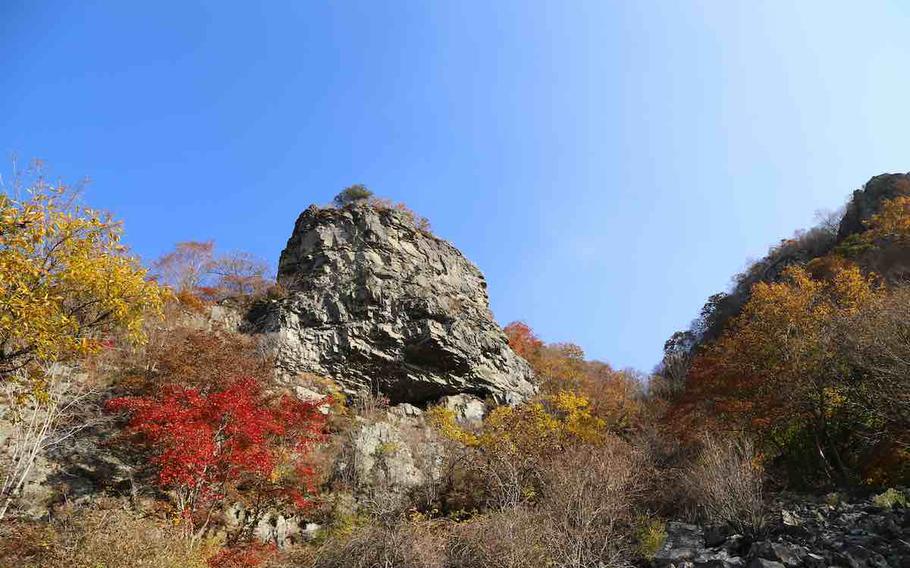 A huge rock with foliage.