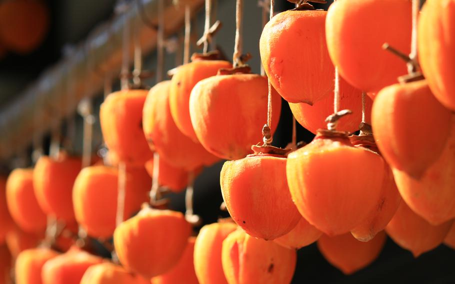 Dried persimmon hung up outside.