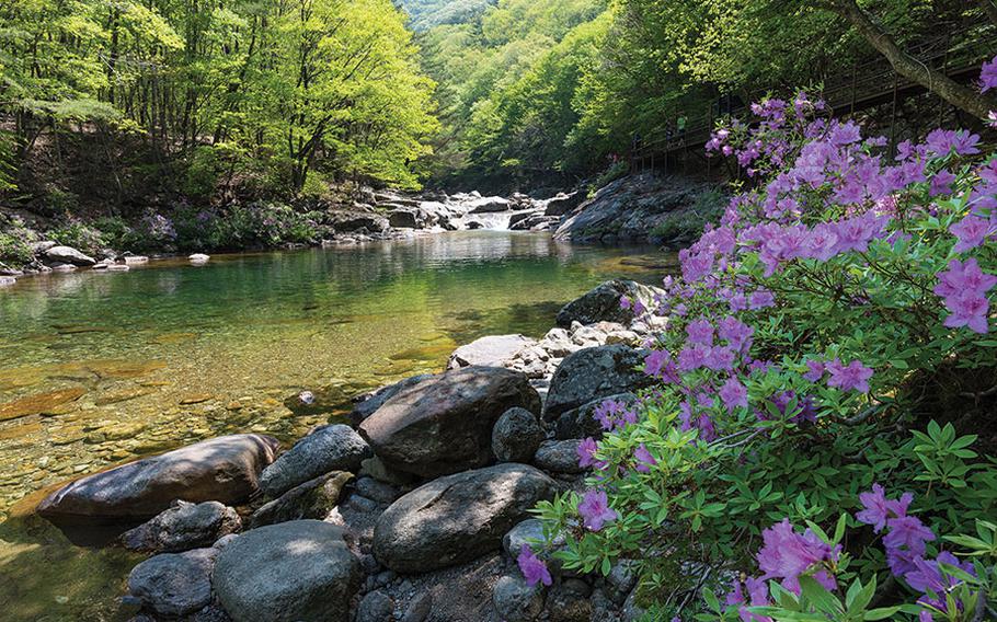 A riverside in Jirisan.