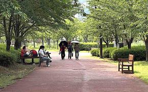 three women with parasols are walking in a park.
