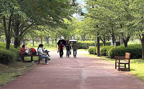 Photo Of three women with parasols are walking in a park.