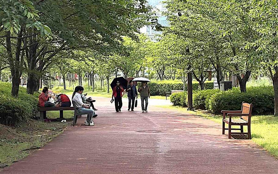 three women with parasols are walking in a park.