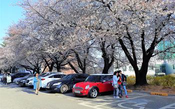 Pyeongtaek University