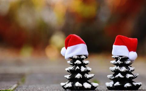 Photo Of two pinecones with santa’s hats on.