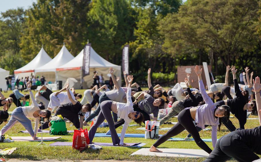 Participants are excercising on the lawn.