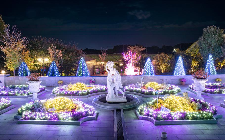 illuminated garden.