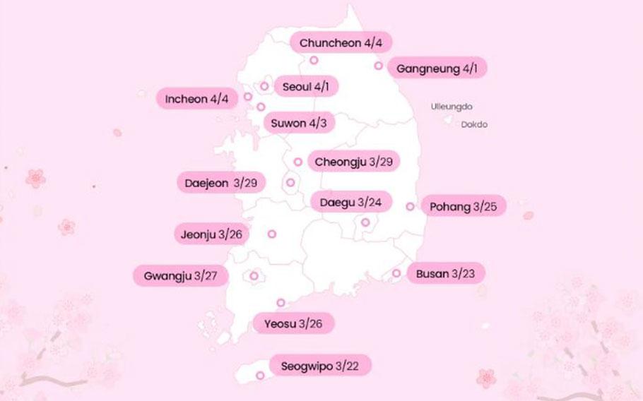 Korean map for the cherry blossom forecast.