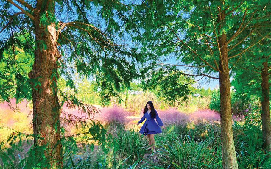 Hyemin poses beside pink mulhy.