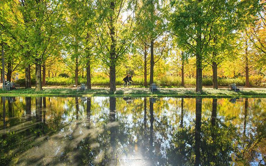 Two people are riding bikes on the riverside.