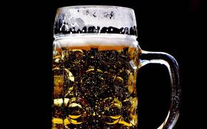 A full close-up photo of a glass of beer.