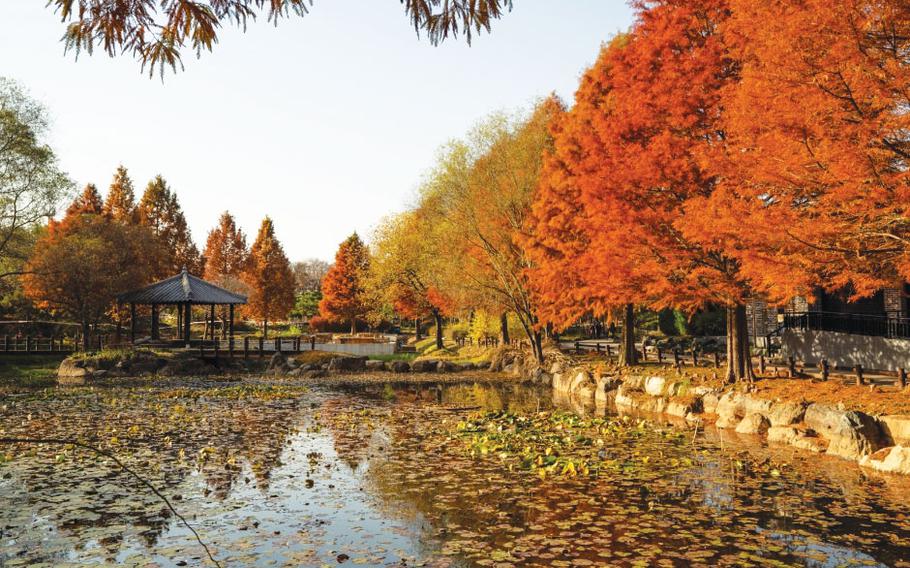 There is a pond in Korea Expressway Corporation Arboretum.