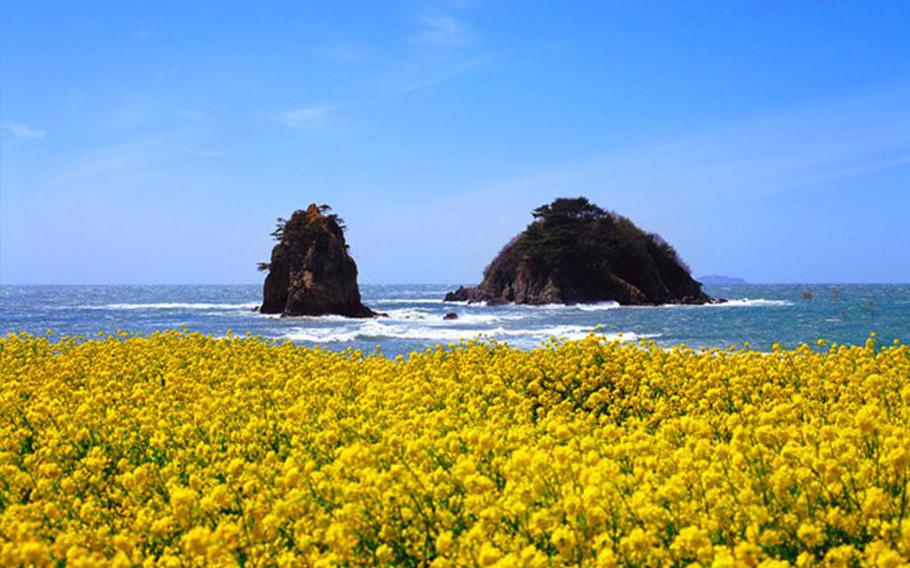 Kkotji Beach