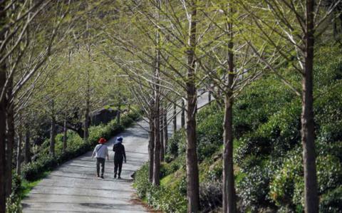 Photo Of two people are walking on a mountain trail.