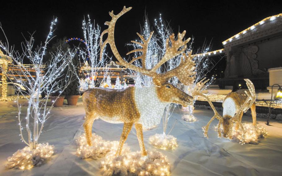  illuminations of reindeers in Everland.