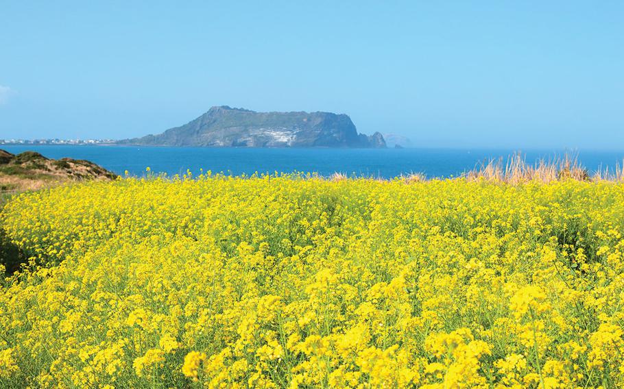 Jeju Island