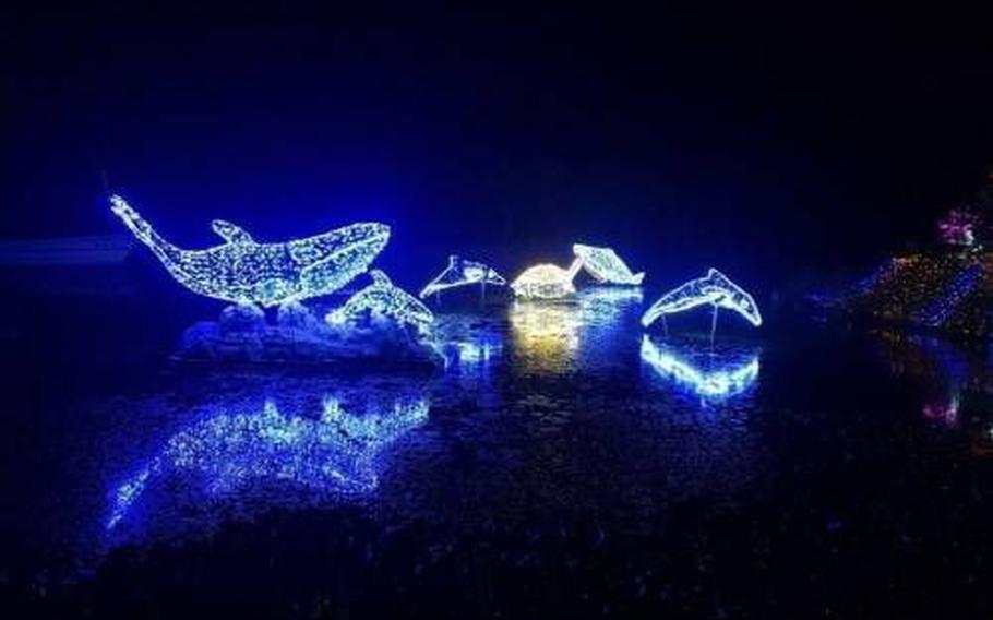 illuminated fish-shaped stuff.