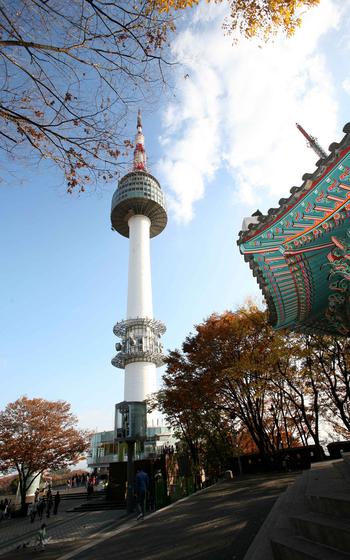 Some trees can be seen near N Seoul Tower.