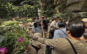A man is pointing with his finger to a flower.