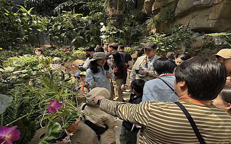 A man is pointing with his finger to a flower.
