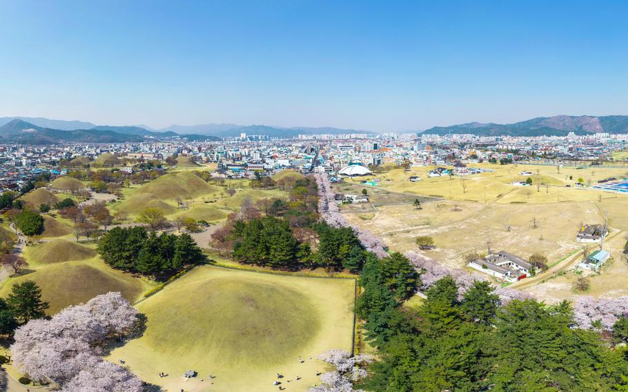 Birds-eye view of Daereungwon. cherry blossoms and some other trees can be seen.