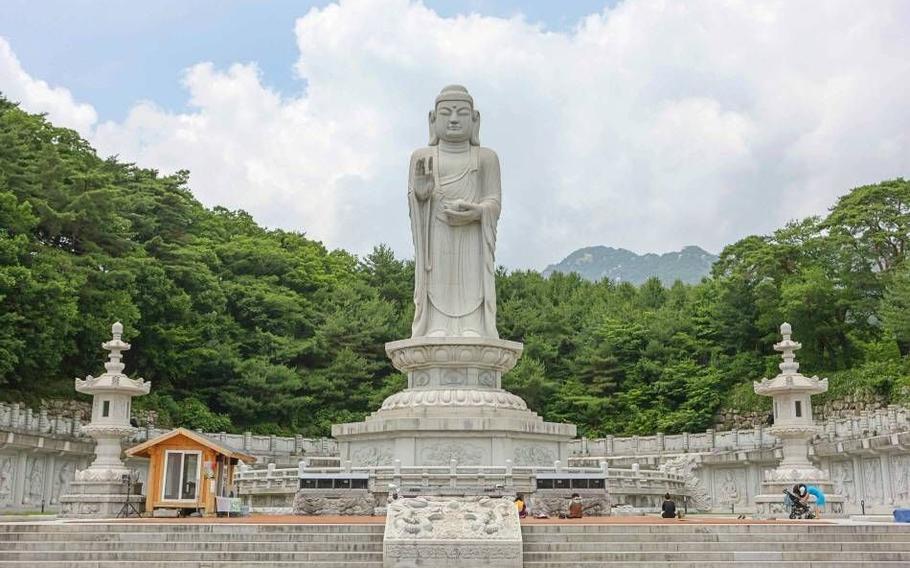 A forest can be seen behind the Great Medicine Buddha Statue at Donghwasa Temple.