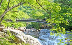 A Bridge spans a river.