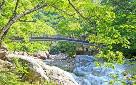 Photo Of A Bridge spans a river.