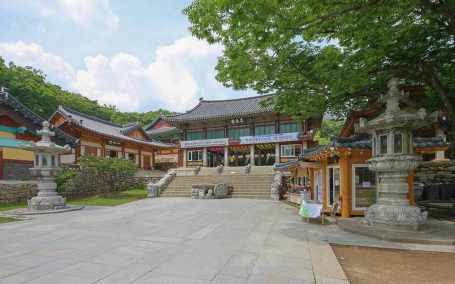 Some trees can be seen in the grounds of Donghwasa Temple. 