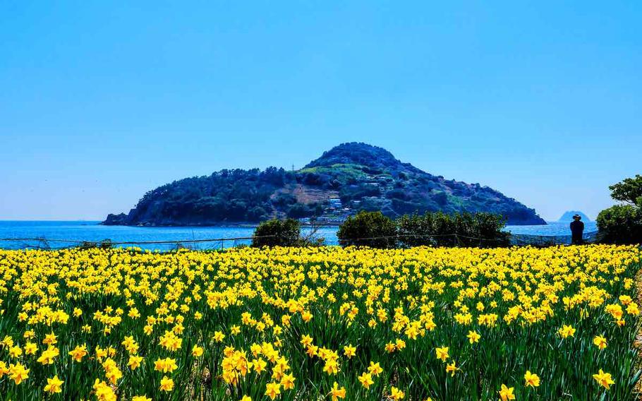 flowers are everywhere. the ocaen and an island can be seen as well.