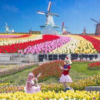 Cosplayers are taking photo in the garden.