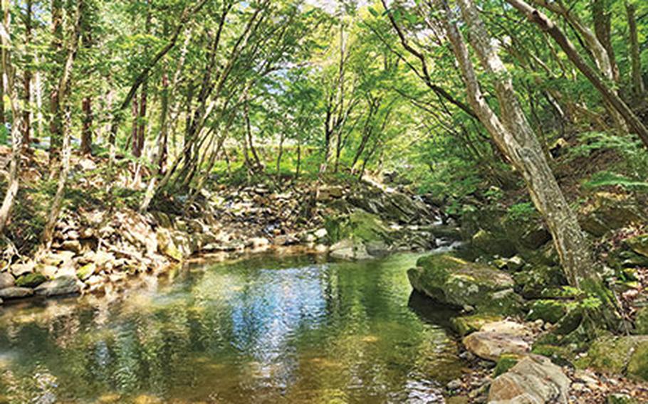 A still stream in the daytime.