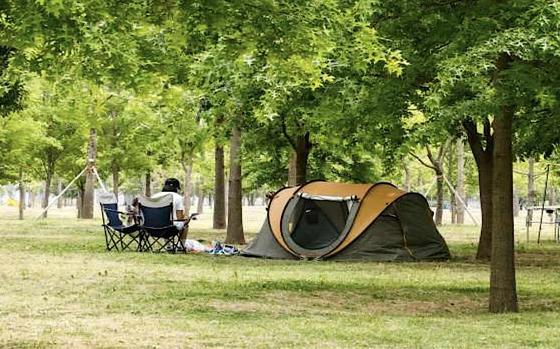 Family enjoy themselves with a tent in a park.